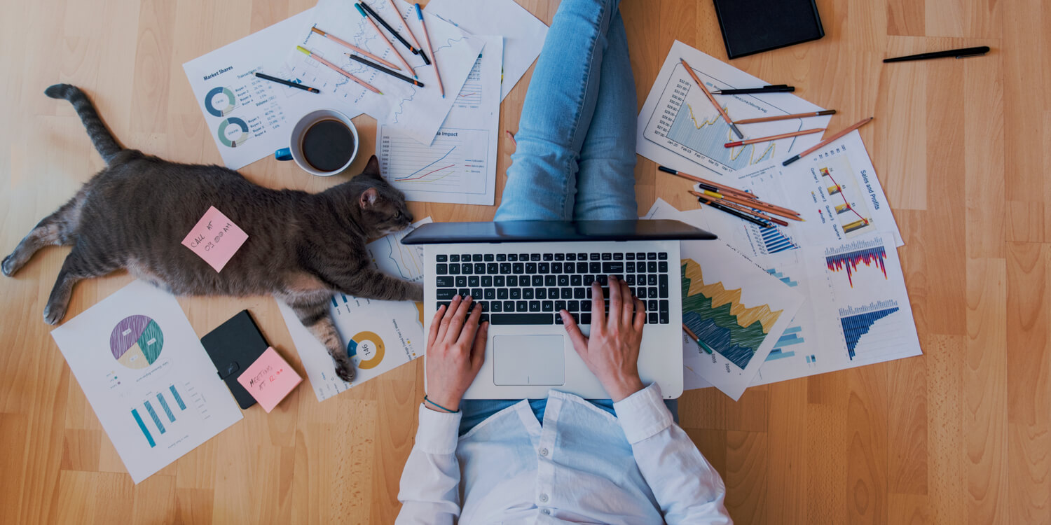 Young businessman in casual clothes sitting on floor working on his laptop at home with cat.